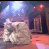 http://dl.glitter-graphics.net/pub/1253/1253741z3xflyisbu.gif