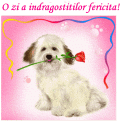 myspace layouts, myspace codes, glitter graphics