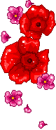1315561o7dr41uh8s.gif