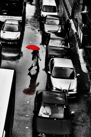 ���� ���� ������ �� ���� ������