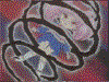 myspace layouts, myspace codes, glitter graphics