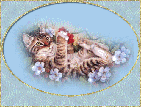 http://dl.glitter-graphics.net/pub/1700/1700081t063ly2phm.gif