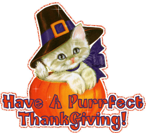 cat thanksgiving clip art - photo #3
