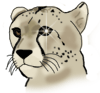 1752311qtcrrwwu3u.gif