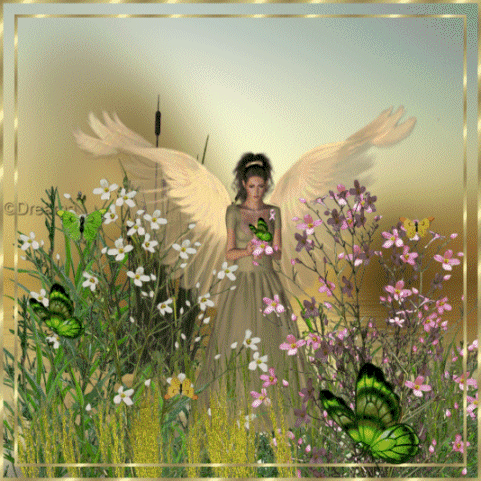 myspace layouts, myspace codes, glitter graphics