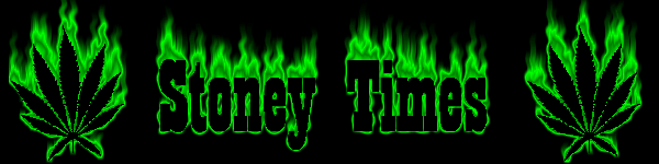 myspace layouts, myspace codes, glitter graphics