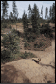 590701nee2tpkf1v.gif