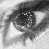 glitter graphics