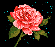glitter graphics